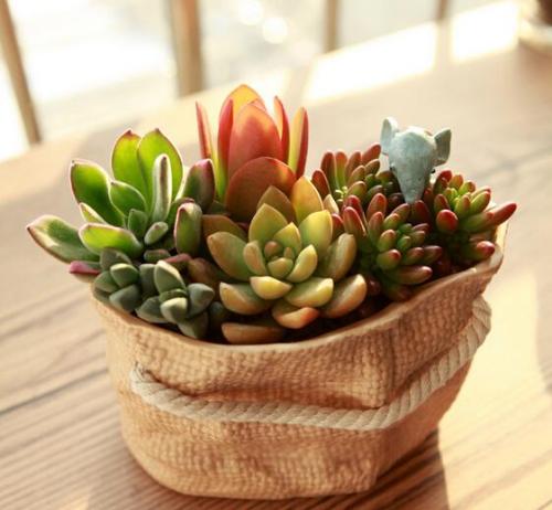 Áª´óÖ÷ϯÐÂÄêÖ嫂 ÓõÈ«ÊÀ½çÐÁ¦ÖÕ½áйÚÒßÇé