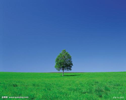 Сѧʱż ׶԰Ԫʱͣ԰