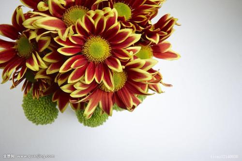 ƼʢĻ鴺ְ