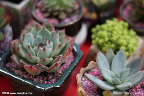 ÉòÑôÔÚÊÐÄÚ9Çø¿ªÕ¹È«Ô±ºËËá¼ì²â ·Ç±ØÒª²»ÀëÉò