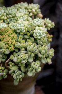 㽭:ɧŵ绰ռ 110ܽӾĳΪЧ