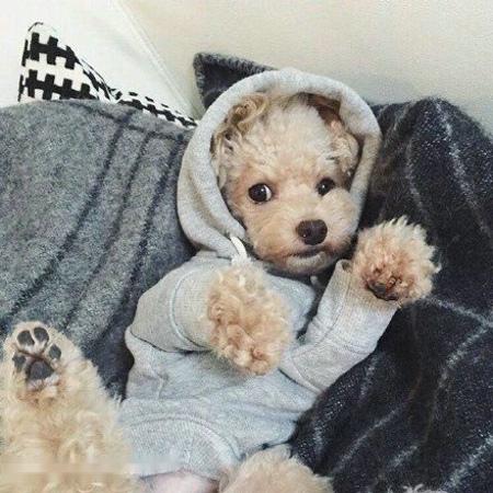 Сѧʱż ׶԰Ԫʱͣ԰