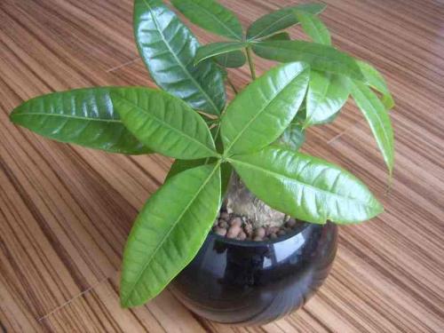 հ죺ˮϵȫͨ ˳ǡø˾