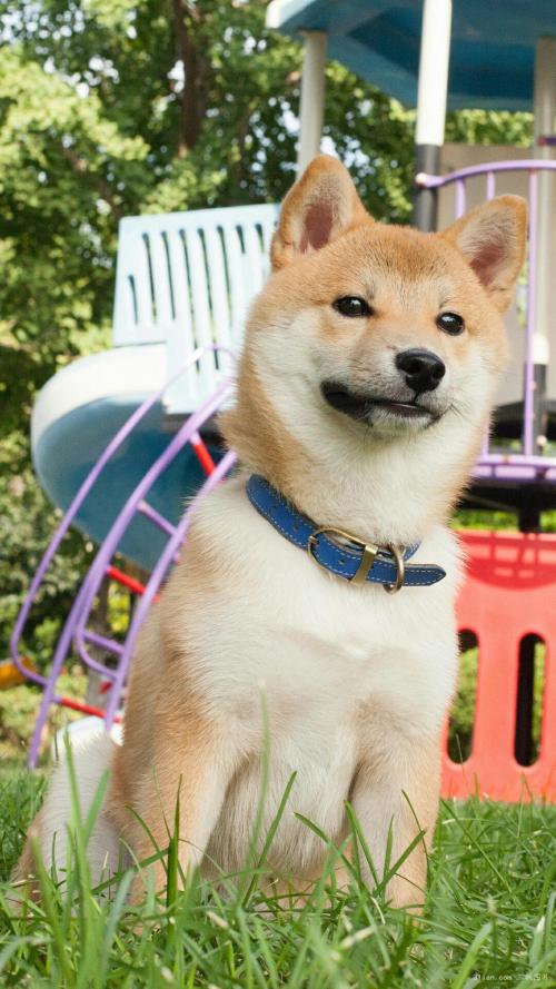 ÊÜÇ¿Àä¿ÕÆøÄÏϵÄÓ°Ïì ±±¾©Êн«³öÏÖ³ÖÐøµÍÎÂÌìÆø