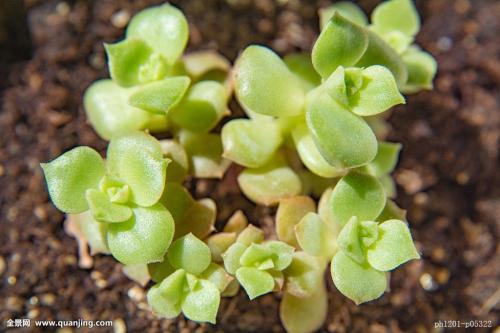 Ãñ·¨µäÀ´À² 2021ÄêÄãµÄÉú»î½«ÓÐÕâЩ´ó²»Í¬